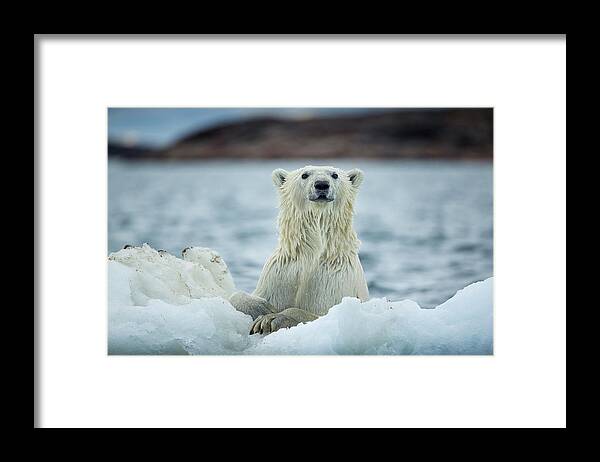 Alert Framed Print featuring the photograph Canada, Nunavut Territory, Repulse Bay #47 by Paul Souders