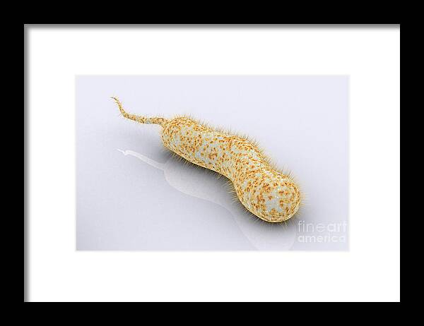 Color Image Framed Print featuring the digital art Conceptual Image Of Vibrio Cholerae #5 by Stocktrek Images