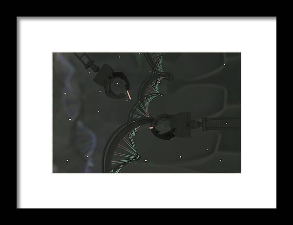 Adenine Framed Print featuring the photograph Genetic Engineering, Conceptual #5 by Ella Marus Studio