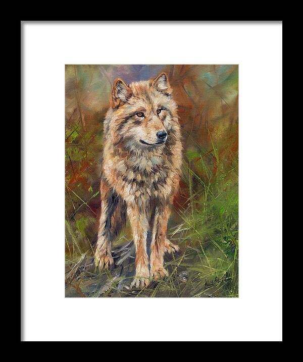 Wolf Framed Print featuring the painting Grey Wolf #5 by David Stribbling