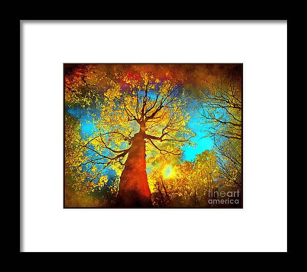 Night Sky Framed Print featuring the digital art Night sky #5 by Gina Signore