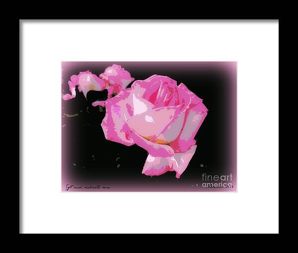 Rose Framed Print featuring the photograph Pink Rose #1 by Leanne Seymour