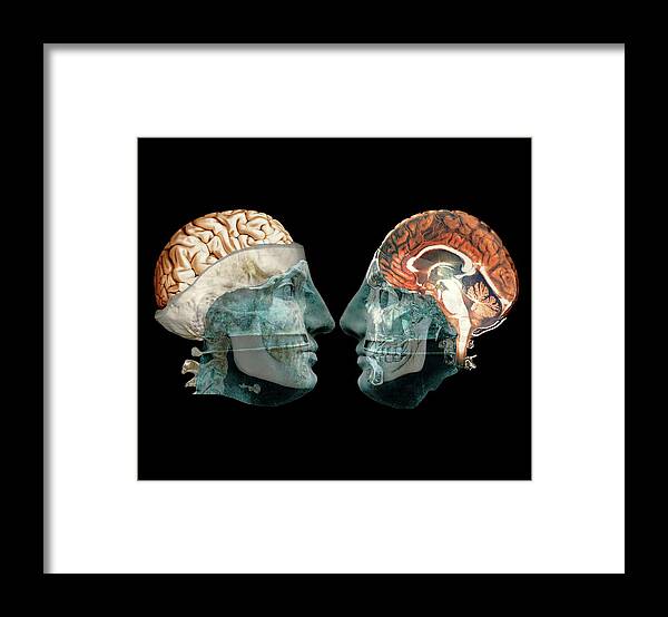Black Background Framed Print featuring the photograph Thought #5 by Zephyr/science Photo Library