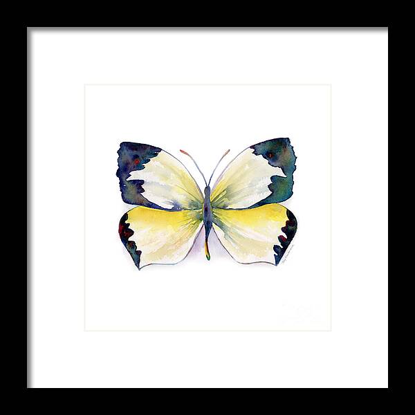 Mexican Framed Print featuring the painting 55 Mexican Yellow Butterfly by Amy Kirkpatrick