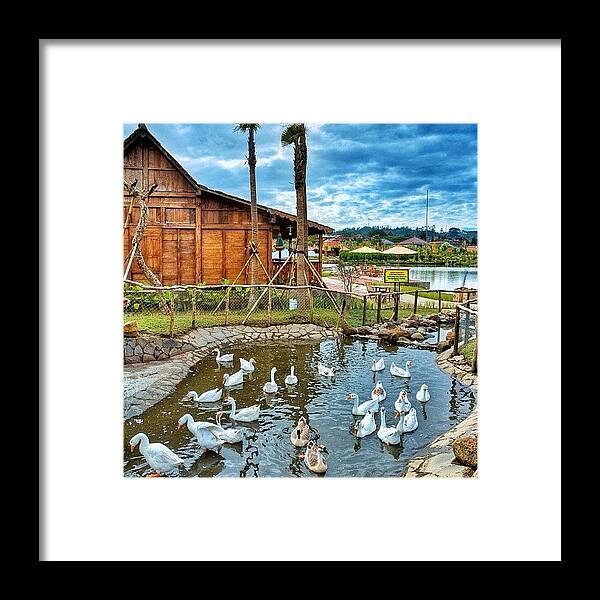  Framed Print featuring the photograph Instagram Photo #581366325197 by Tommy Tjahjono