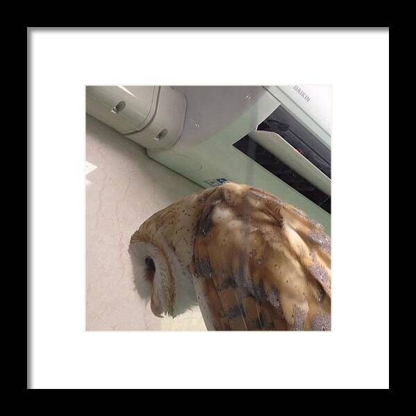 Owl Framed Print featuring the photograph #owl #6 by Tokyo Sanpopo
