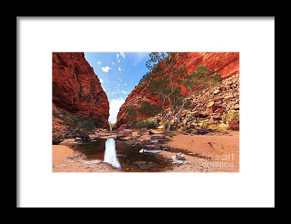 Simpsons Gap Central Australia Landscape Outback Water Hole West Mcdonnell Ranges Northern Territory Australian Landscapes Ghost Gum Trees Framed Print featuring the photograph Simpsons Gap #8 by Bill Robinson
