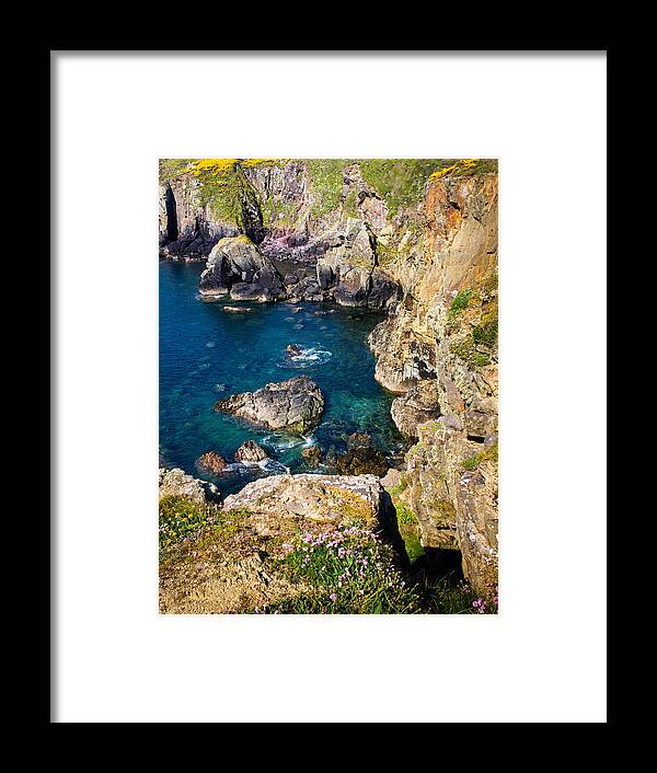 Armeria Maritima Framed Print featuring the photograph St Non's Bay Pembrokeshire by Mark Llewellyn