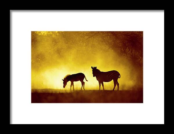Africa Framed Print featuring the photograph Africa, Botswana, Moremi Game Reserve #7 by Paul Souders