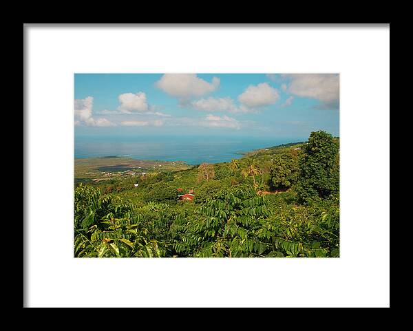 Big Island Framed Print featuring the photograph Hawaii, Big Island, South Kona, Captain #7 by Inger Hogstrom