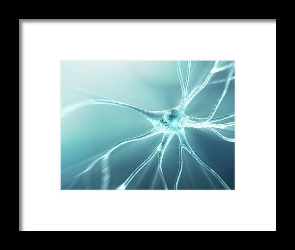 Artwork Framed Print featuring the photograph Nerve Cell #7 by Alfred Pasieka/science Photo Library