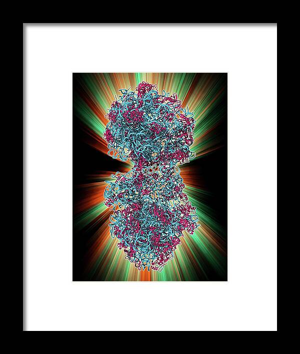 70s Ribosome Framed Print featuring the photograph 70s Ribosome by Laguna Design