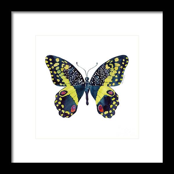 African Citrus Butterfly Framed Print featuring the painting 73 Citrus Butterfly by Amy Kirkpatrick