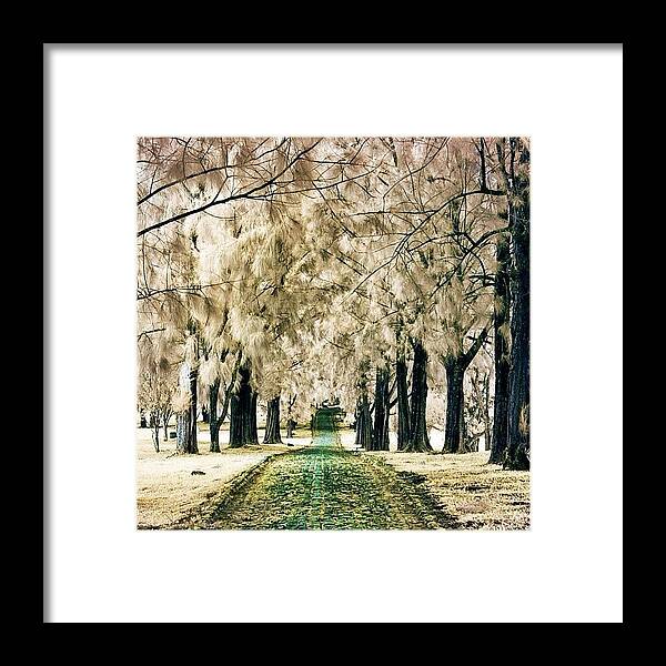  Framed Print featuring the photograph Instagram Photo #771362172439 by Tommy Tjahjono