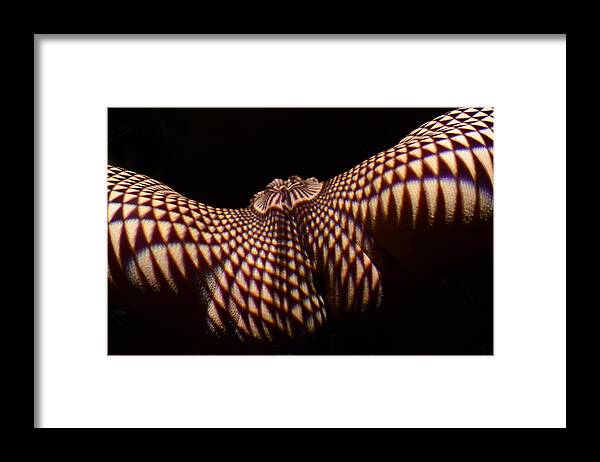 Vulva Framed Print featuring the photograph 7896 Experimental Nude Abstract by Chris Maher