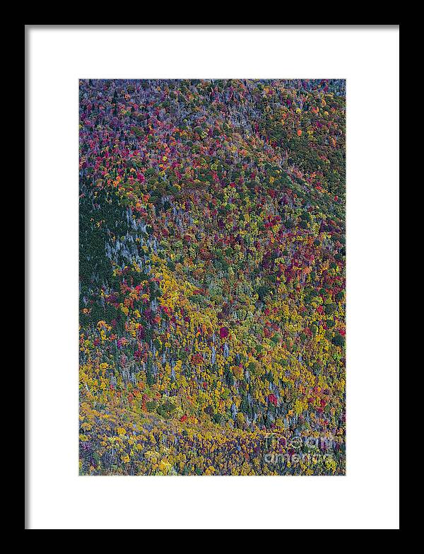Blue Ridge Parkway Framed Print featuring the photograph Autumn Colors Along The Blue Ridge Parkway in Western North Carolina #8 by David Oppenheimer
