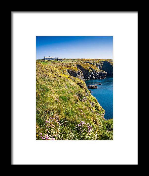 Armeria Maritima Framed Print featuring the photograph St Non's Bay Pembrokeshire #8 by Mark Llewellyn