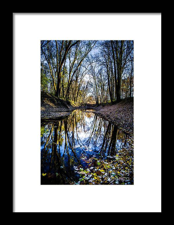 Stream Framed Print featuring the photograph Treasure Of Leaves #8 by Michael Arend