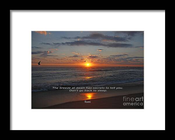 Rumi Framed Print featuring the photograph 80- Rumi by Joseph Keane