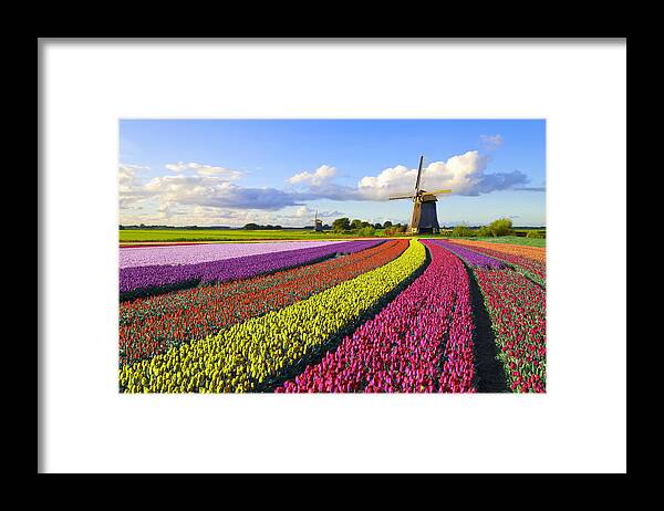 Orange Color Framed Print featuring the photograph Tulips and Windmill by JacobH