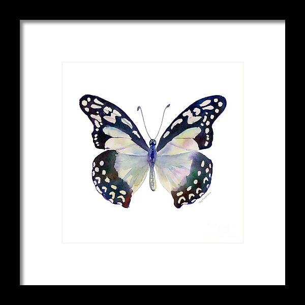 Angola White Lady Butterfly Framed Print featuring the painting 90 Angola White Lady Butterfly by Amy Kirkpatrick