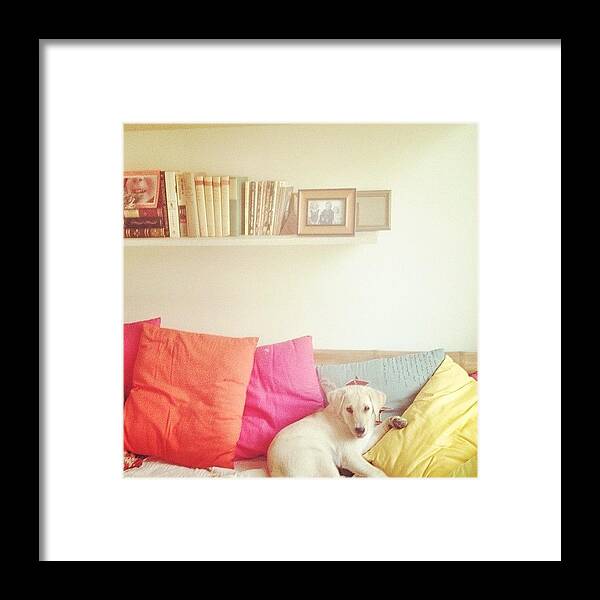  Framed Print featuring the photograph Instagram Photo #931395202142 by Karen O