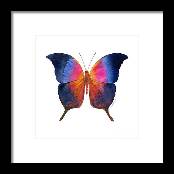 Brushfoot Butterfly Framed Print featuring the painting 96 Brushfoot Butterfly by Amy Kirkpatrick