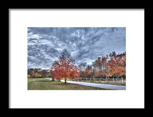 Autumn Trees Framed Print featuring the photograph A backroad in the rural countryside of Maryland during Autumn by Patrick Wolf