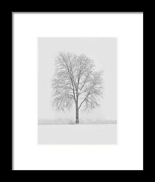  Framed Print featuring the photograph A Blizzard Moment by Nancy Edwards