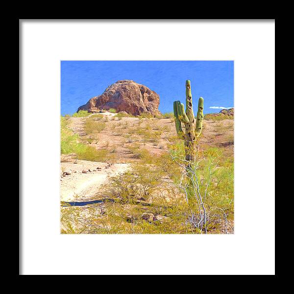 Cactus Framed Print featuring the digital art A Cactus In The Arizona Desert by Digital Photographic Arts