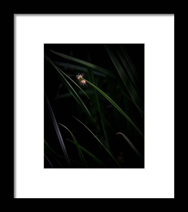 Nature Framed Print featuring the photograph A Caterpillar's World by Dwight Theall