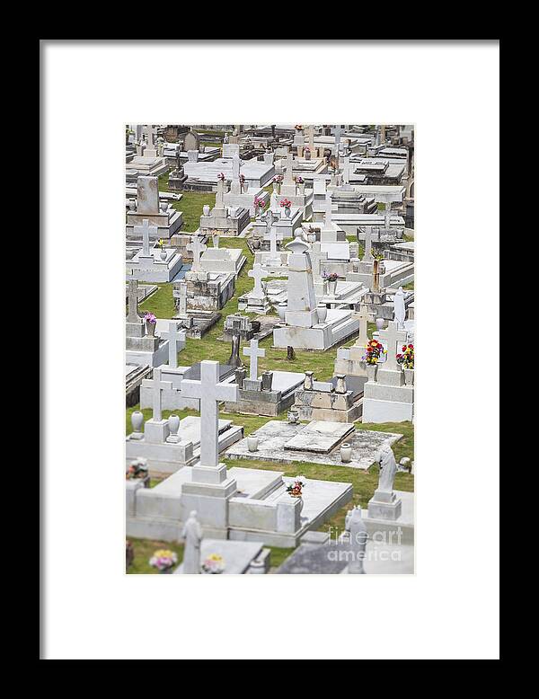 Del Morro Framed Print featuring the photograph A Cemetery In Old San Juan Puerto Rico by Bryan Mullennix