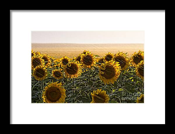 Flowers Framed Print featuring the photograph A Chance of Showers by Jim Garrison