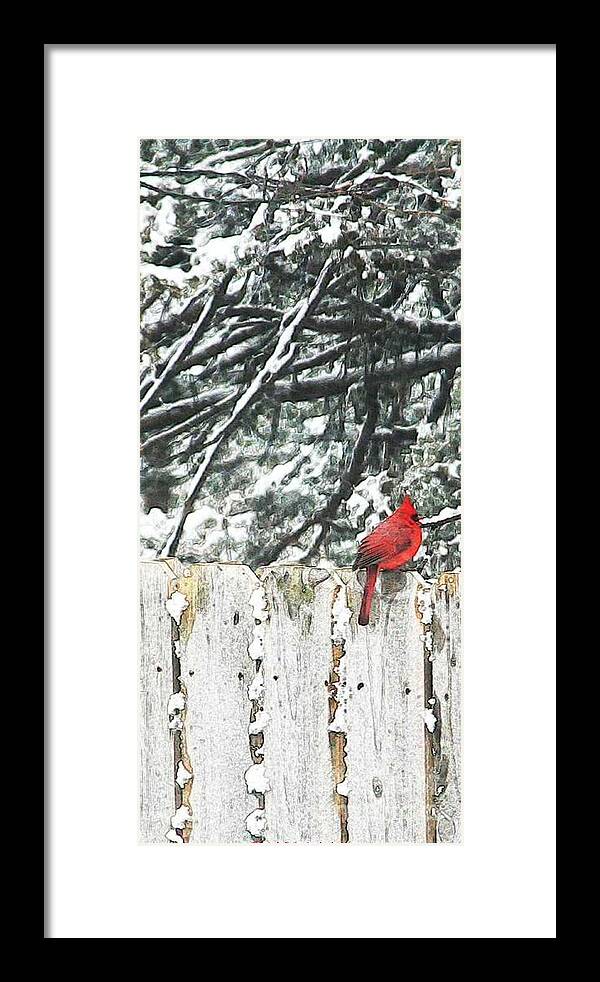 Christmas Framed Print featuring the painting A Christmas Cardinal by PainterArtist FIN