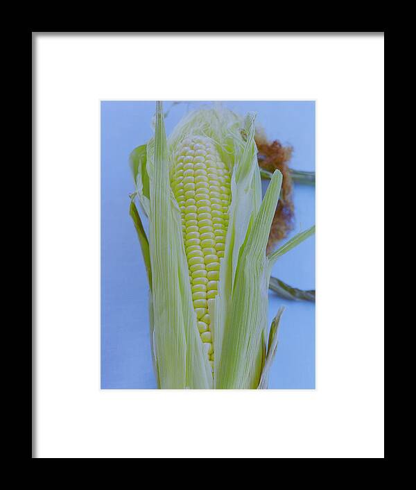 Corn Framed Print featuring the photograph A Cob Of Corn by Romulo Yanes