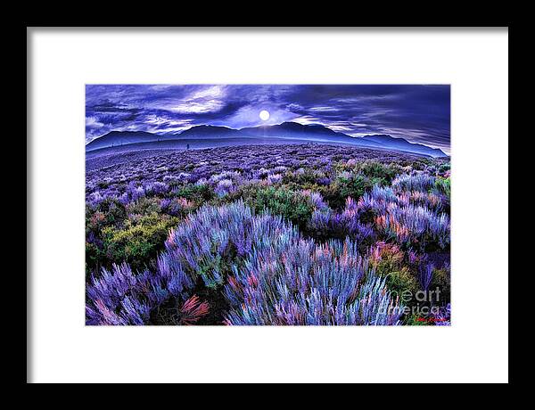 Desert Framed Print featuring the photograph A colorful Desert by Blake Richards