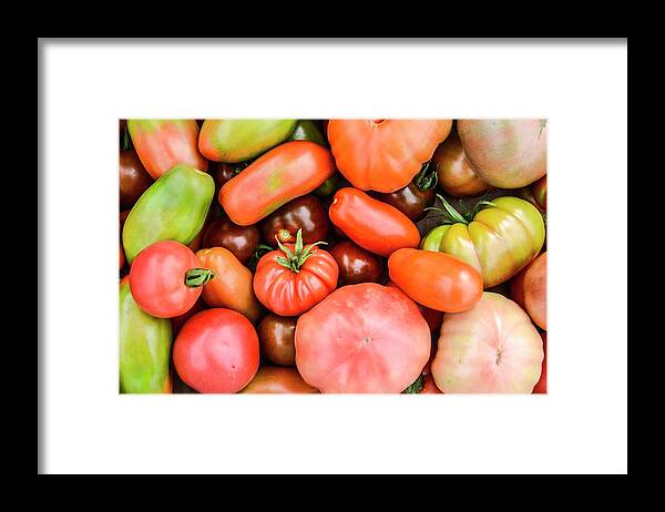Agricultural Framed Print featuring the photograph A Crop Of Varieties Of Tomato by Photostock-israel