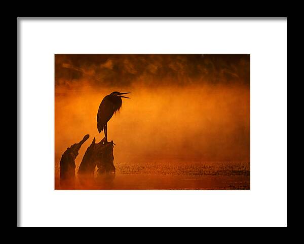 2007 Framed Print featuring the photograph A Cry in the Mist by Robert Charity