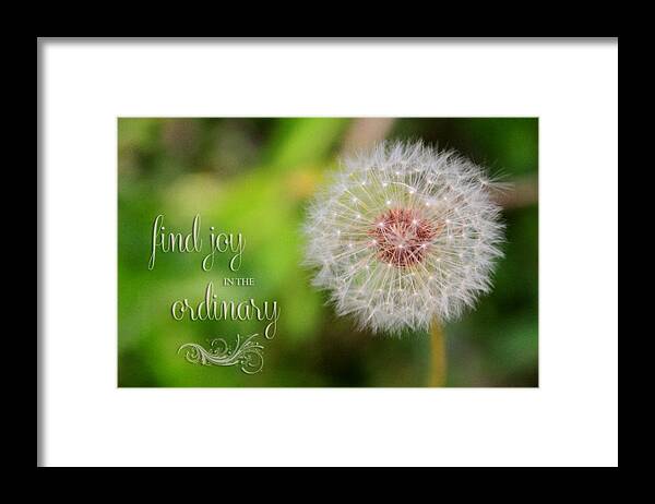 Flower Artwork Framed Print featuring the photograph A Dandy Dandelion with Message by Mary Buck
