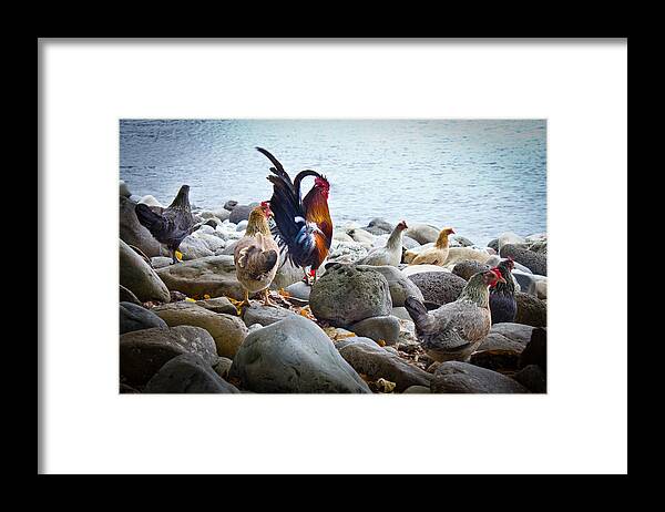 Bird Framed Print featuring the photograph A Day At The Beach by Christie Kowalski
