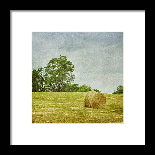 Agricultural Framed Print featuring the photograph A Day at the Farm by Kim Hojnacki