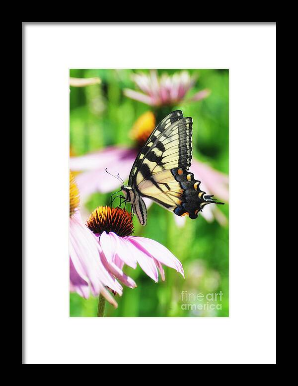 Swallowtail Framed Print featuring the photograph A Deamy Recollection of a Swallowtail by Lila Fisher-Wenzel