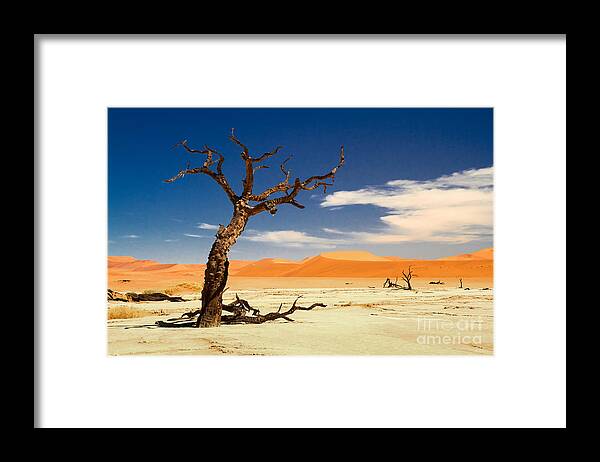 Desert Framed Print featuring the photograph A desert story by Juergen Klust