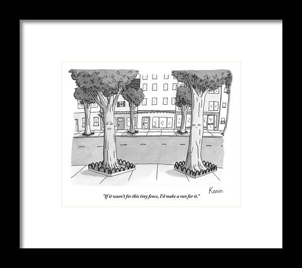 Trees Framed Print featuring the drawing A Disgruntled Tree Looks At The Small Fence by Zachary Kanin