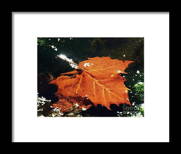 Fall Framed Print featuring the photograph A Drift by J L Zarek
