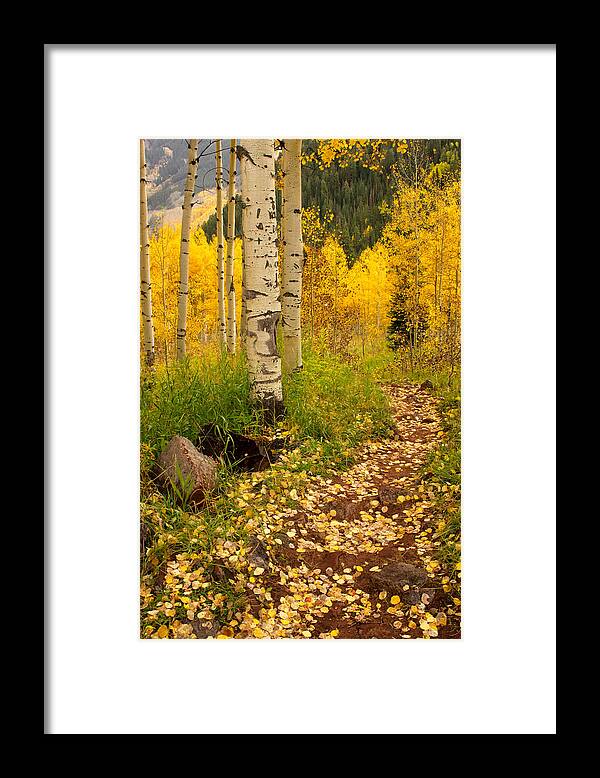 Fall Framed Print featuring the photograph A Fall Path into the Woods by Ronda Kimbrow