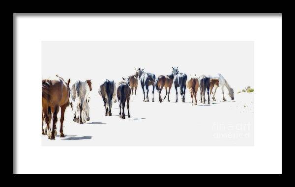 Herd Wild Horses Horse Print Framed Print featuring the photograph A Herd Of Wild Horses On Navajo Indian Reservation by Jerry Cowart