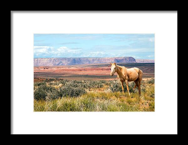 West Framed Print featuring the photograph A Horse with No Name by Nicholas Blackwell