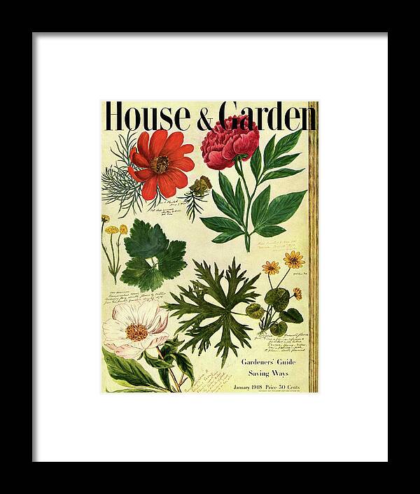 Illustration Framed Print featuring the photograph A House And Garden Cover Of Flowers by Jacob Stauffer