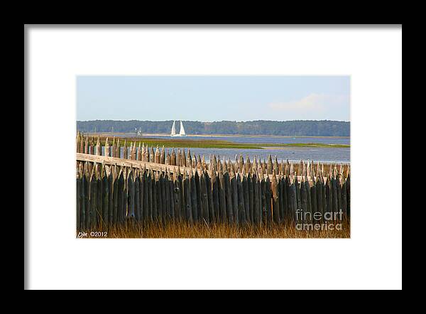 Cape Fear River Framed Print featuring the photograph A Lazy Morning Along The Mighty Cape Fear River by Phil Mancuso